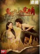 曾经错过的爱情